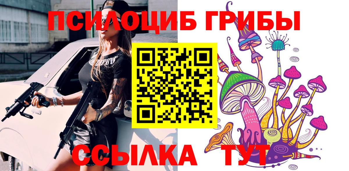 Галлюциногенные грибы GOLDEN TEACHER Светлоград