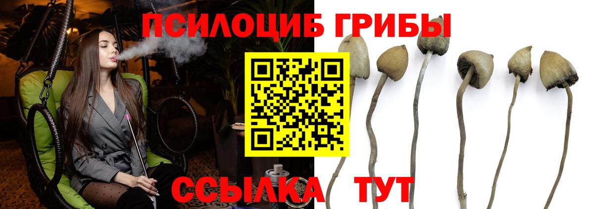 Галлюциногенные грибы мицелий  Галлюциногенные грибы Psilocybine cubensis  Вход с VPN  Светлоград 